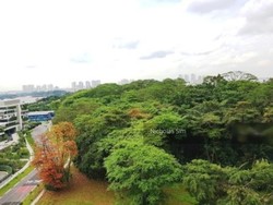 The Chuan (D19), Condominium #203889891